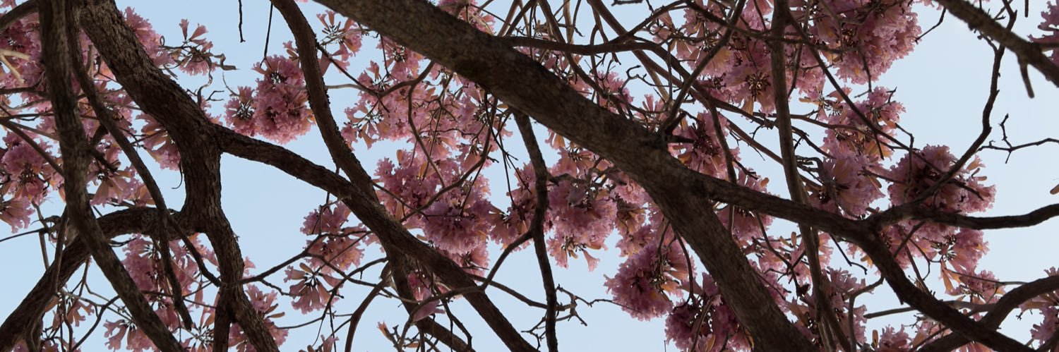 CazzoDaria's profile banner image
