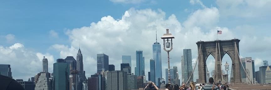 Libskinner's profile banner image