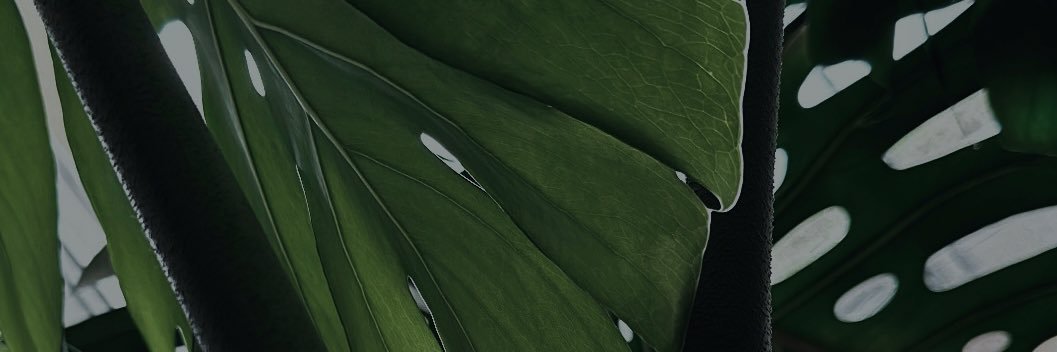 fanny_aigri's profile banner image