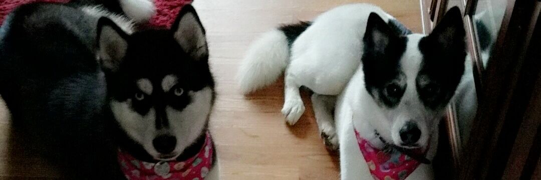 Machera Calhoun banner