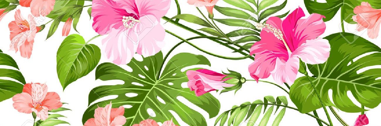 aagusvisdomine's profile banner image