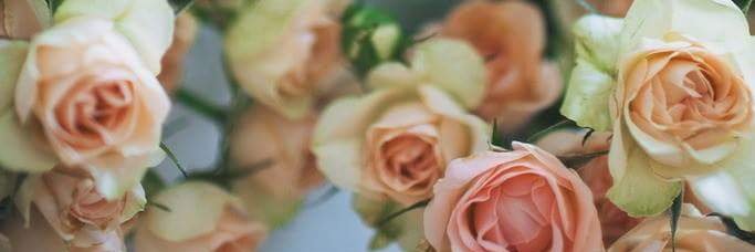 Simonetta Carrega banner