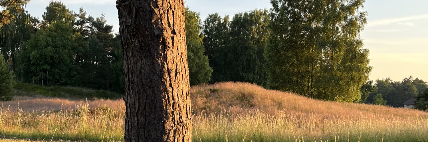 Leoclerc's profile banner image