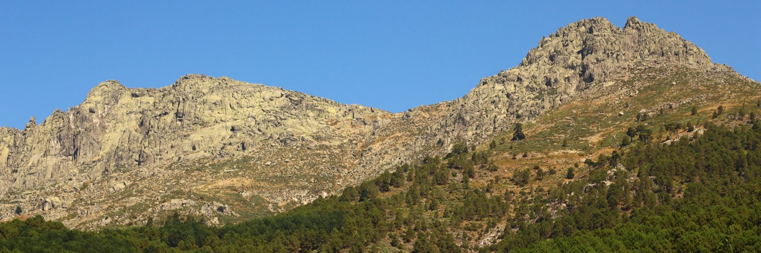 Trampalvalentin's profile banner image