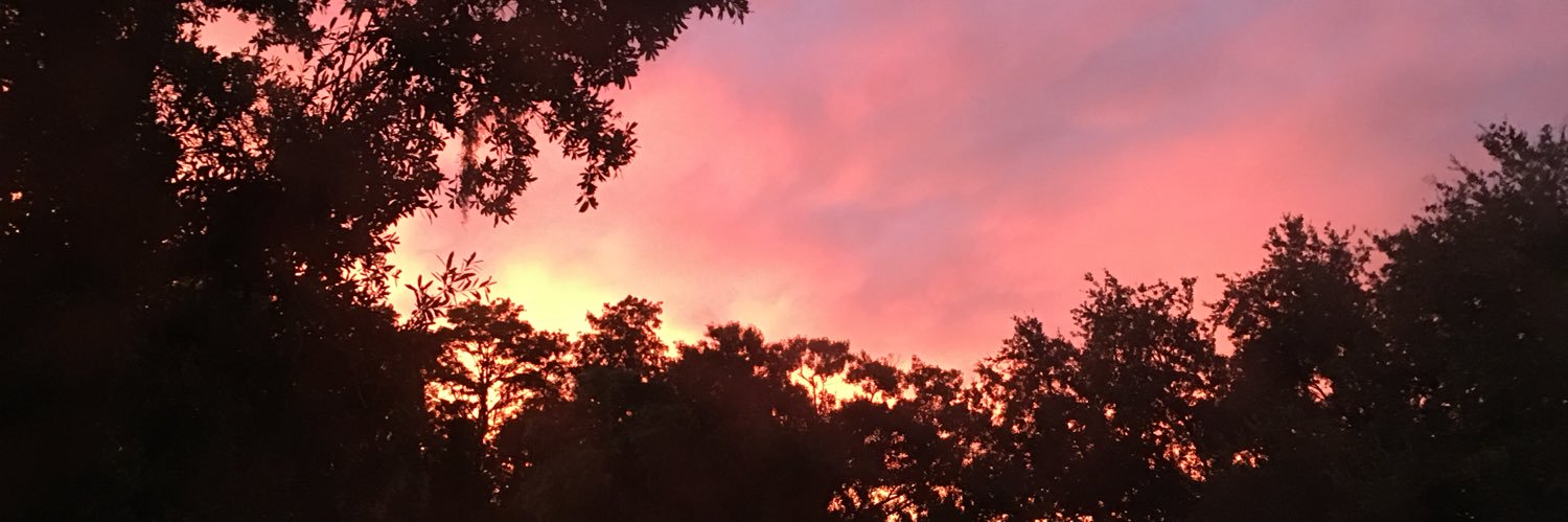 jessev1976's profile banner image