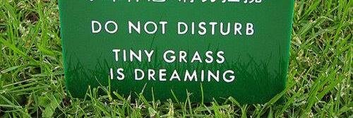 Melissa Harder banner