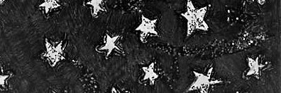 Birdonwing's profile banner image