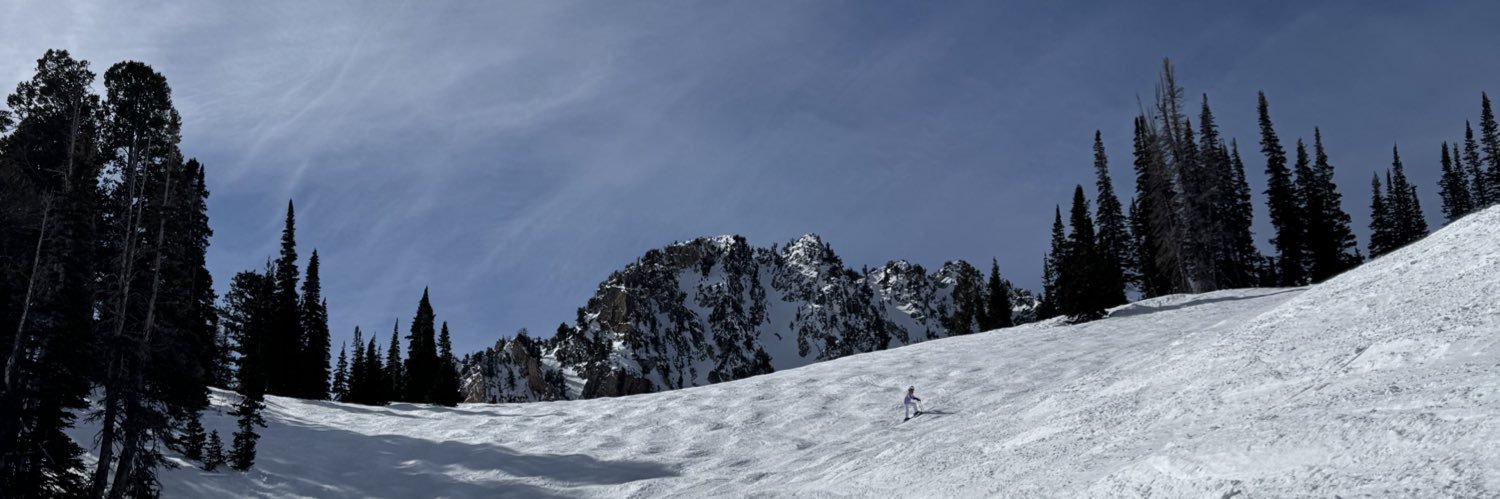 maybecarli's profile banner image