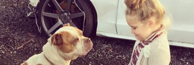 JadeJennings_'s profile banner image