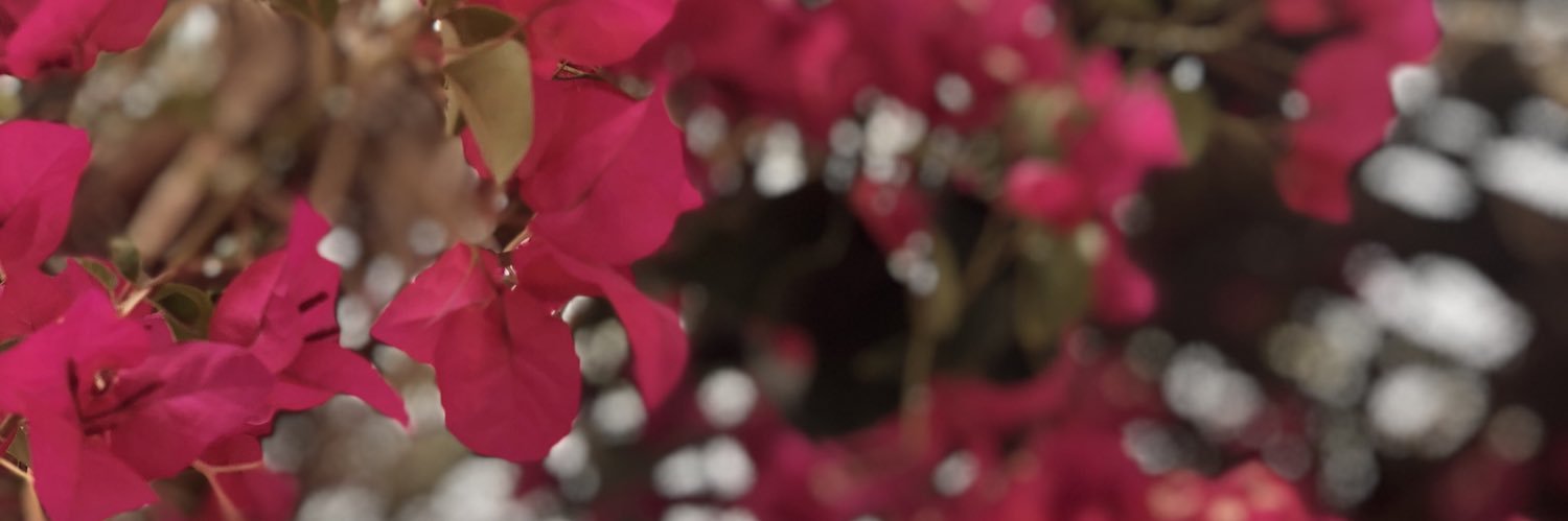 Kalouthah's profile banner image