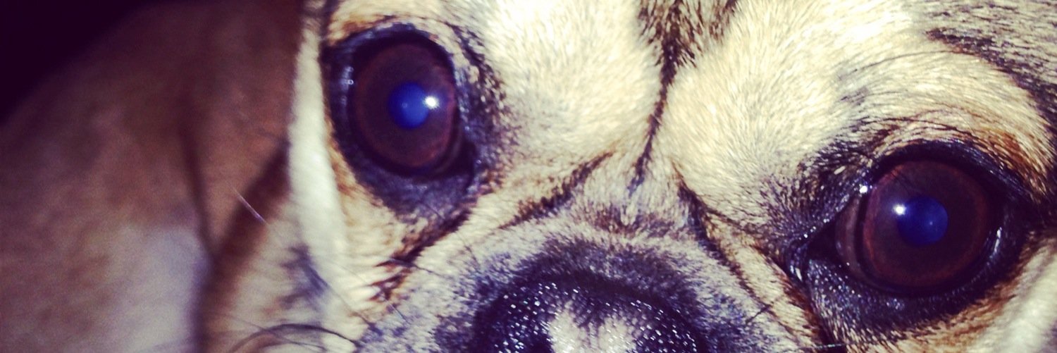 LaurzBarbie's profile banner image