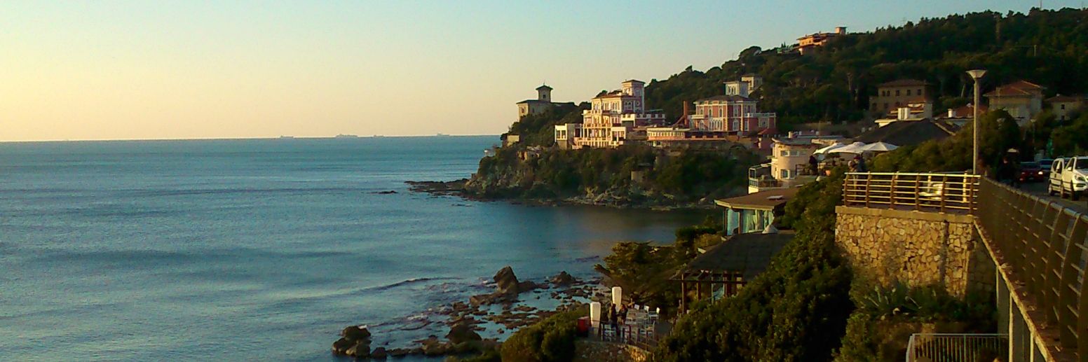 SpiderBerti's profile banner image