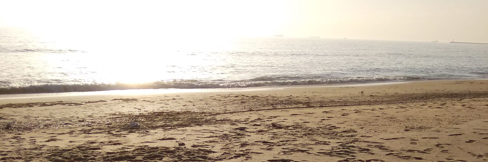 BuzoJavier's profile banner image