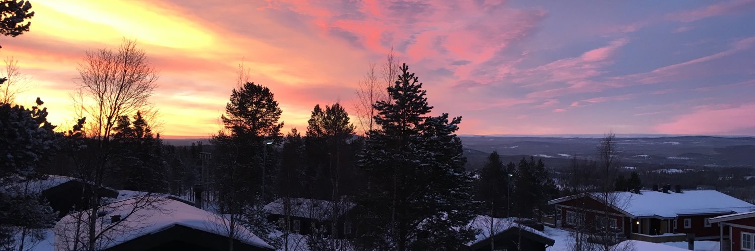 SRadne's profile banner image