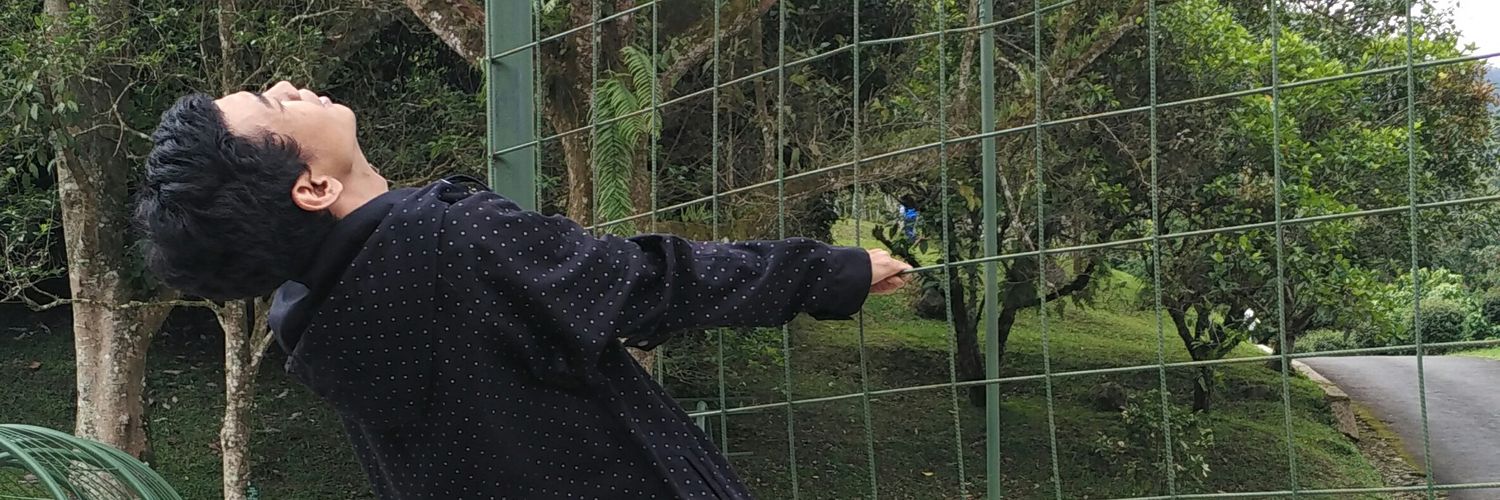 FirlibGMusic's profile banner image