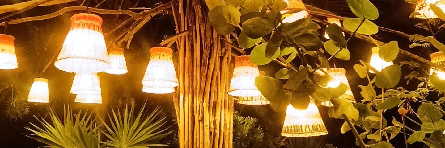 AlmaSacnicte's profile banner image