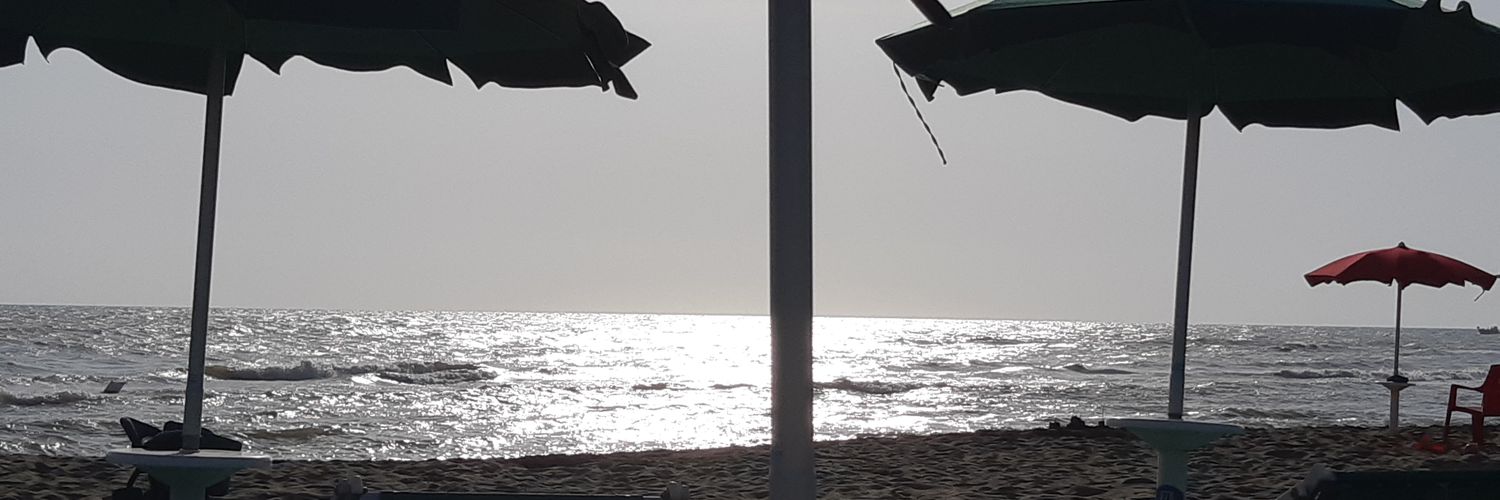 stemagi's profile banner image