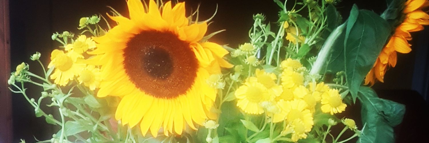 Case_Face_10's profile banner image