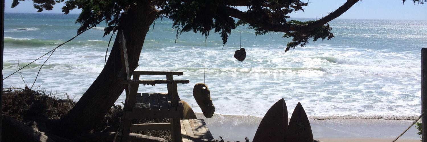 Inge Fonteyne banner