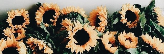 emillyford's profile banner image