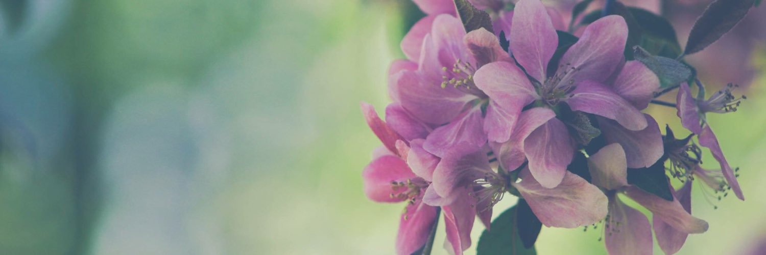 maria_mortimer's profile banner image