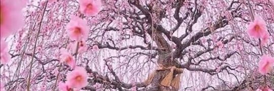 _katherni's profile banner image