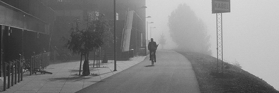 Silly Theories banner