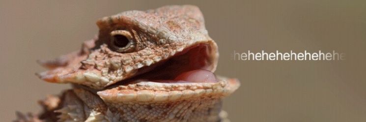 pharraperry's profile banner image