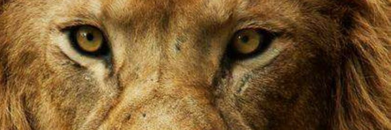 14Ubaldo's profile banner image