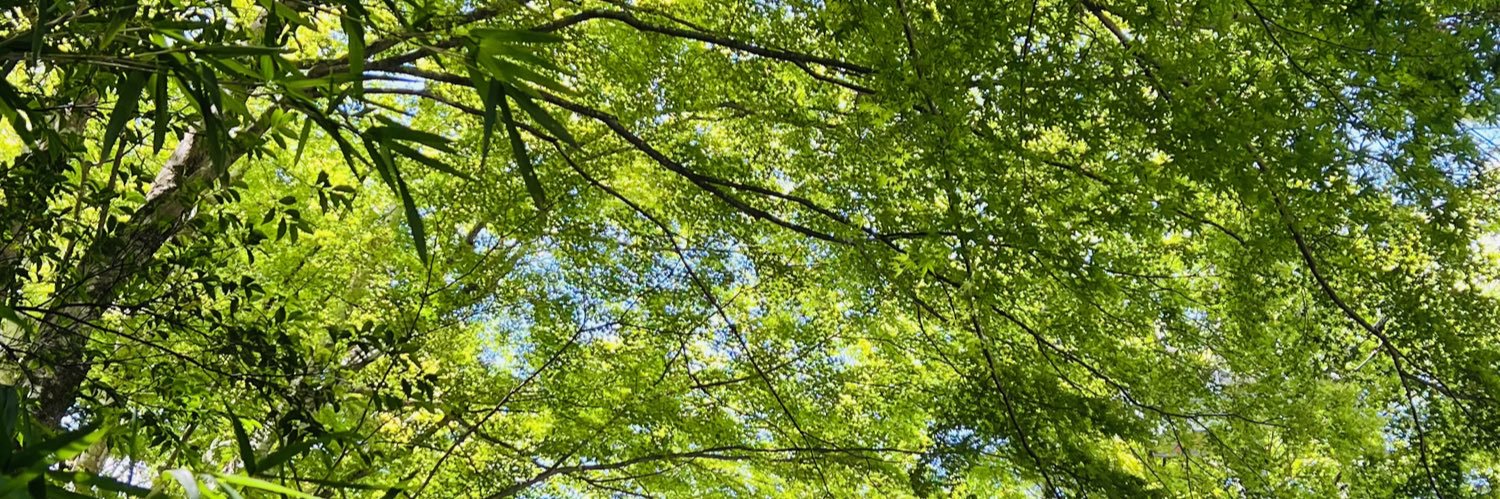 amazonas_plants's profile banner image