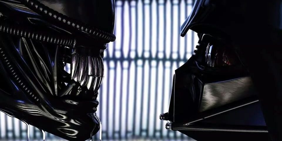 I.U. banner