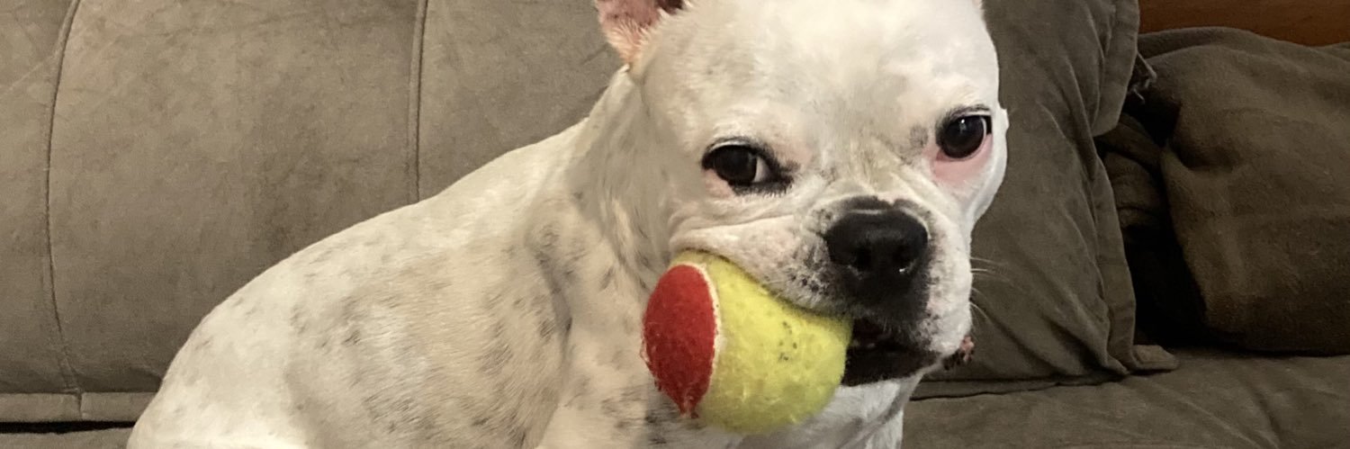 raf4 🏆🏆🏆🏆 banner