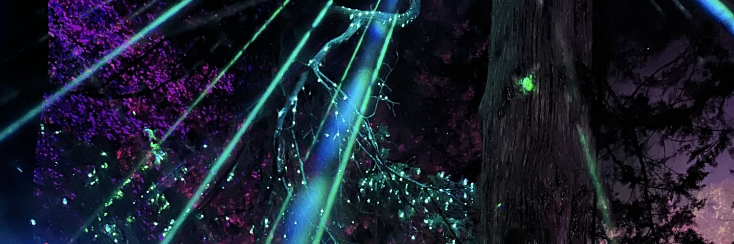 GBoltBaby's profile banner image