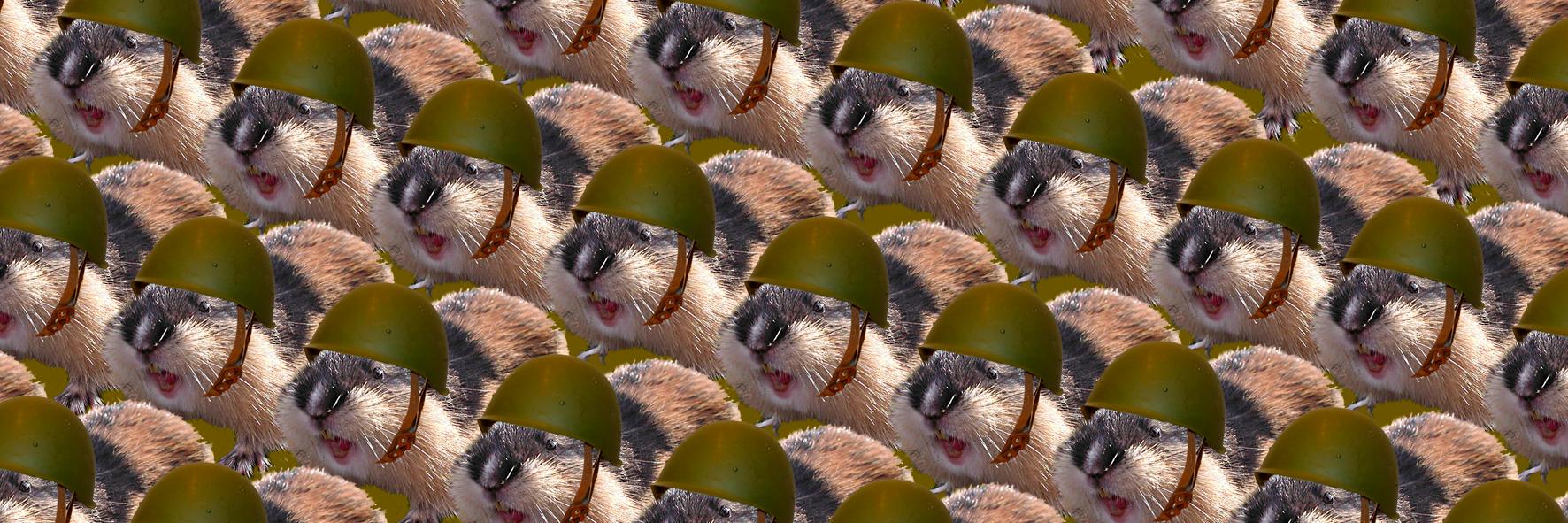 surlammel's profile banner image