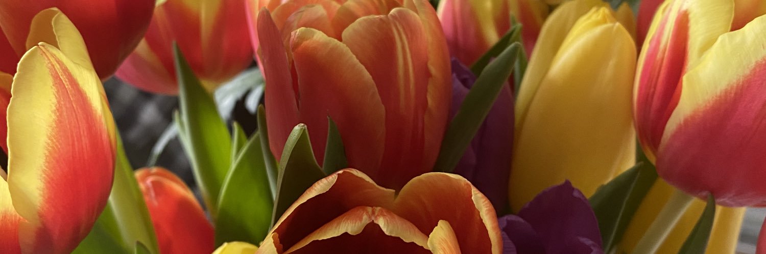 nicholson_dawn's profile banner image