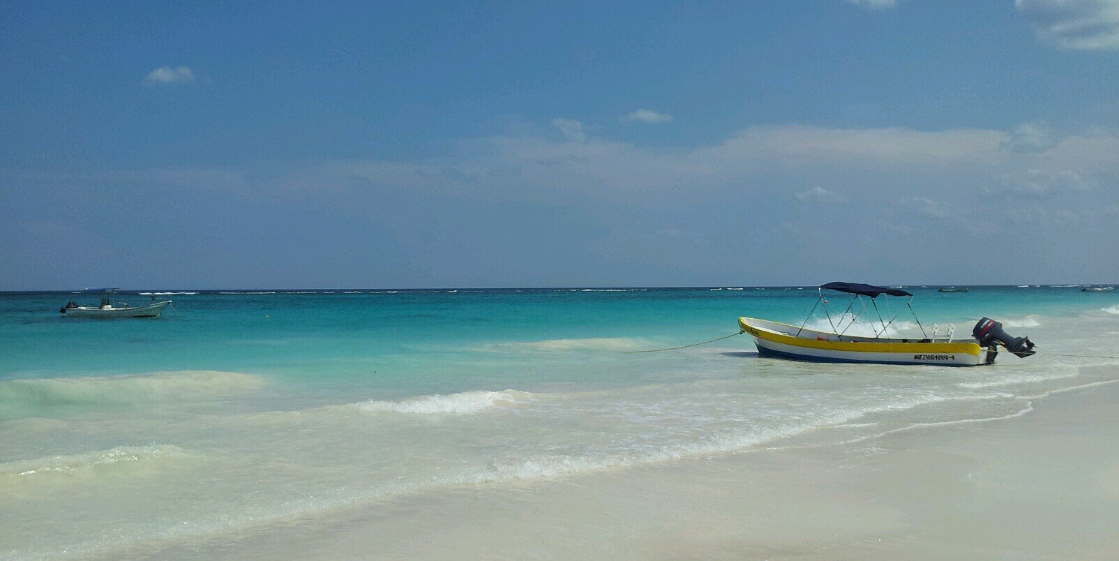 peluchin1979's profile banner image