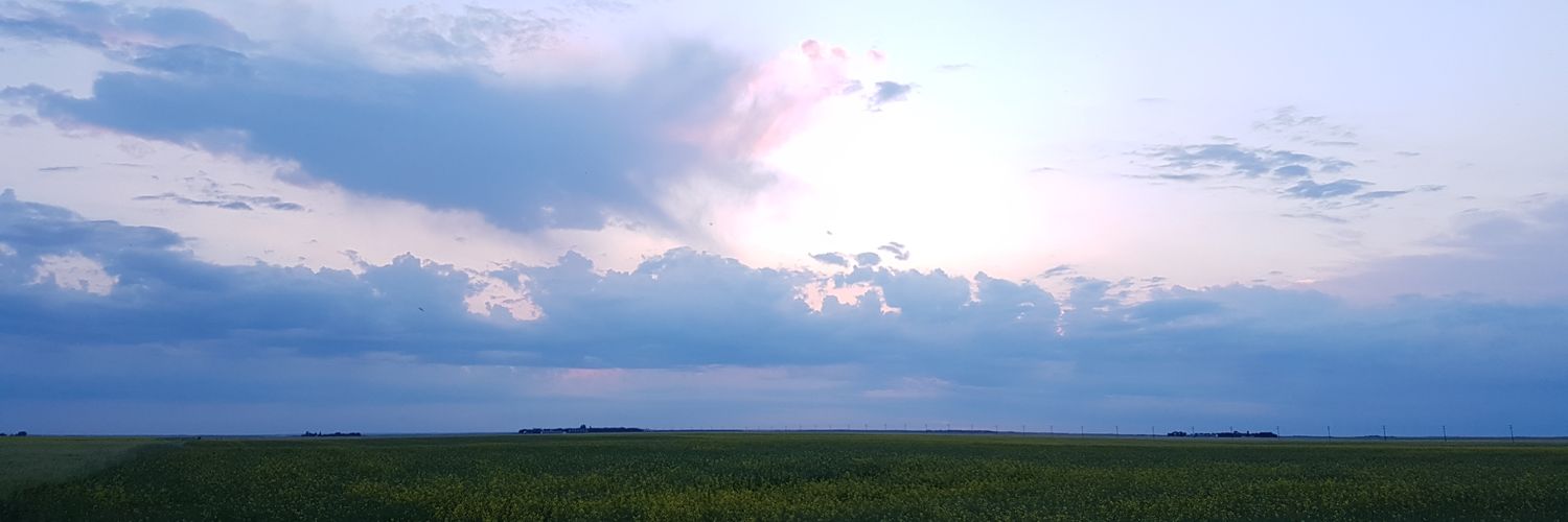 JonesRobynnM's profile banner image