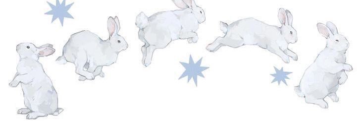 𐔌՞. .՞𐦯 banner