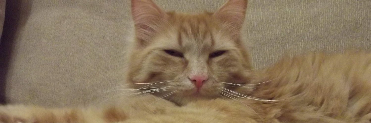 GrandRichCat's profile banner image