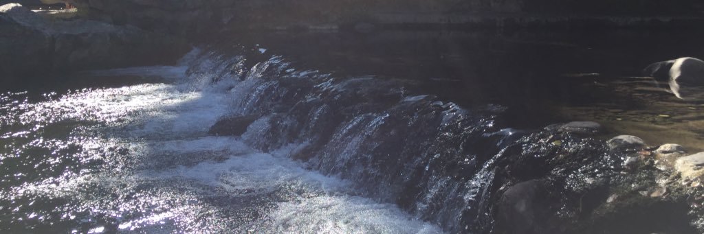 alex_wellnes's profile banner image