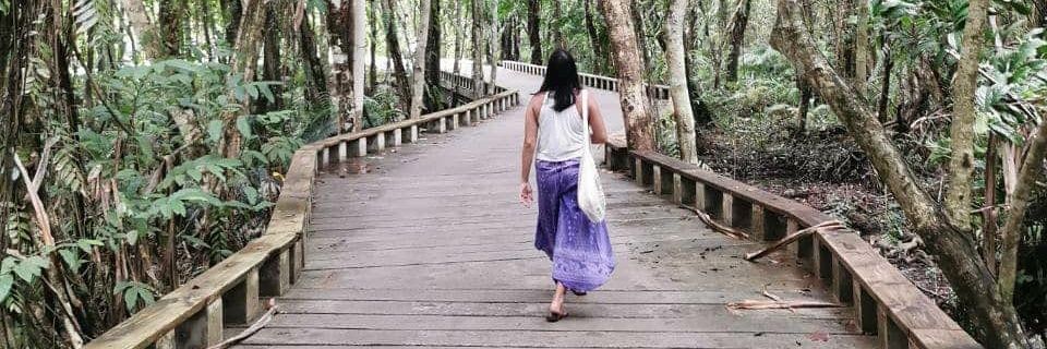klaraiskra's profile banner image