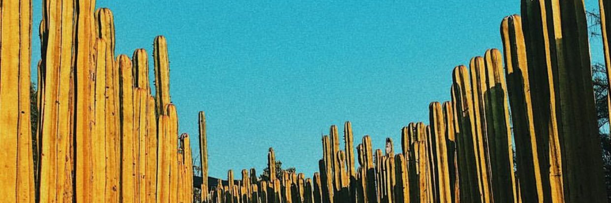 GetseAAmado's profile banner image