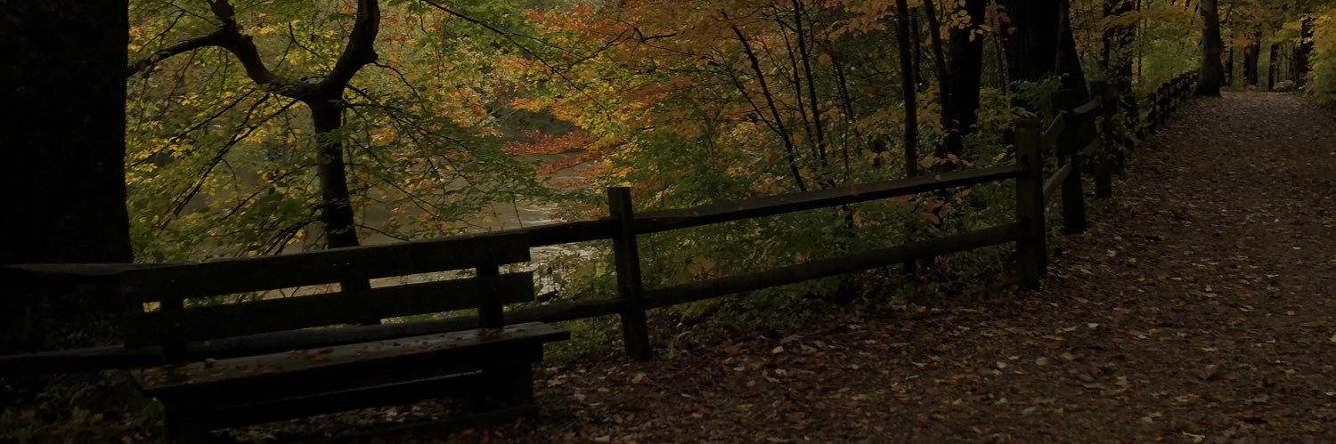 kraeann's profile banner image