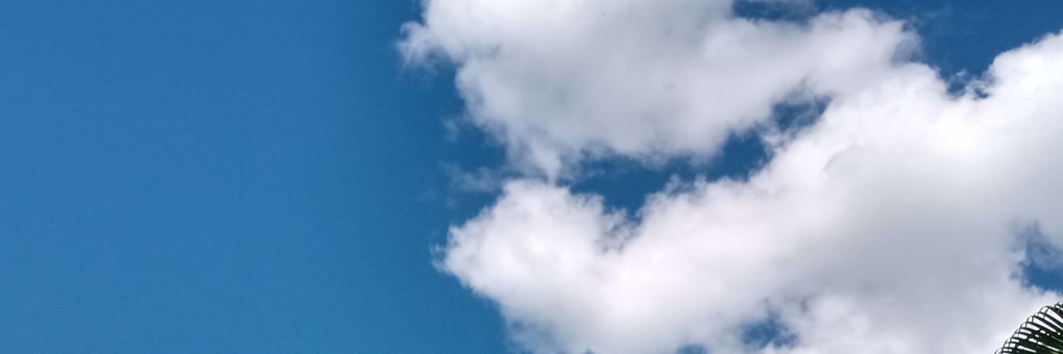 belsbells's profile banner image