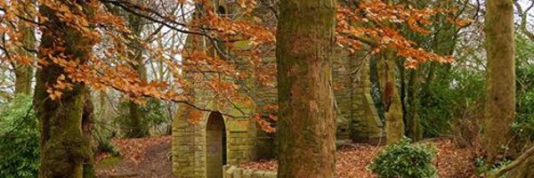 FORPark Profile Banner