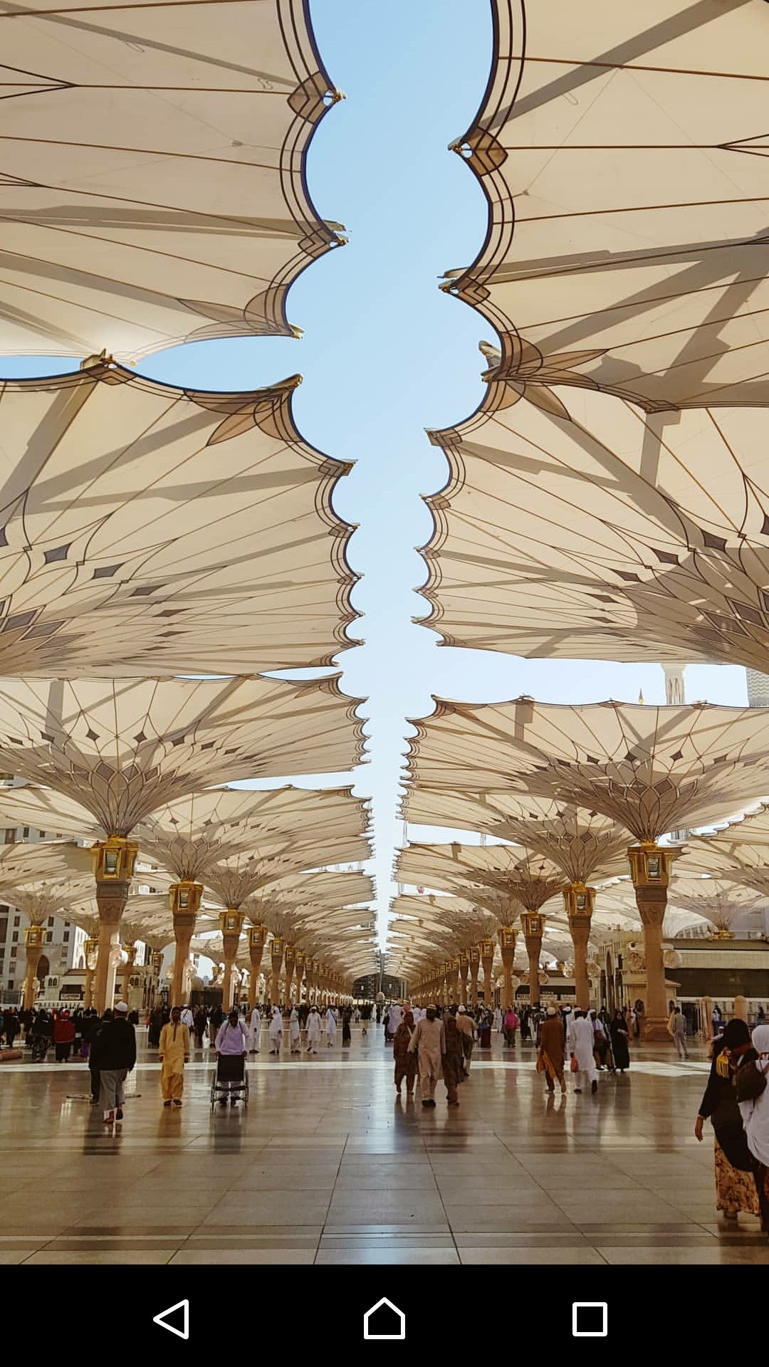 Wanti Firmandani banner