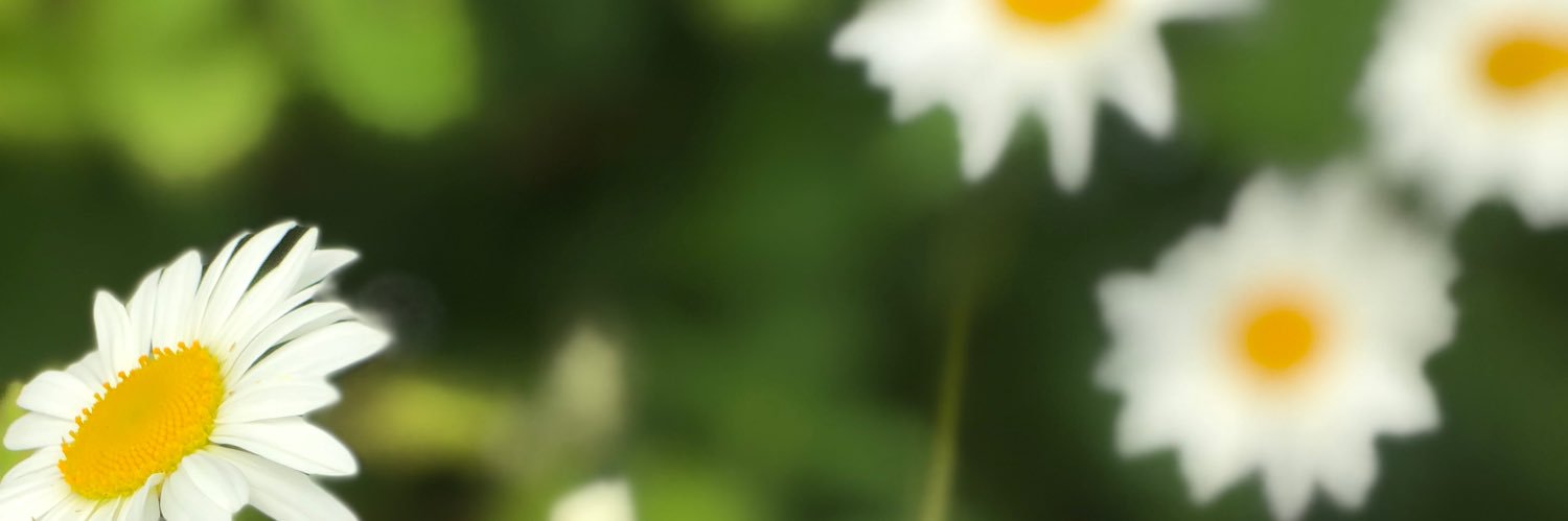 Jen_Pugsley's profile banner image