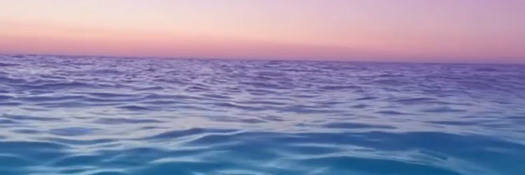 sumflower96's profile banner image
