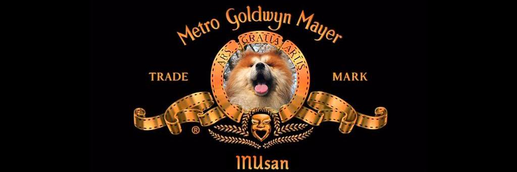 犬さん's banner