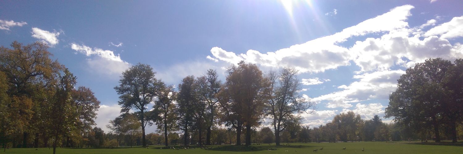 Quentin Hodges banner